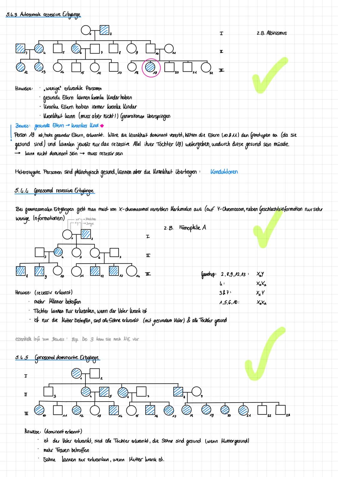 # Klausur - Biologie
## Thema: Genetik
1. Molelwargenetik og
2. Zytogenetik
3. Klassische Genetik
4. Humangenetik
5. Gentechnik
F1.3 Repl