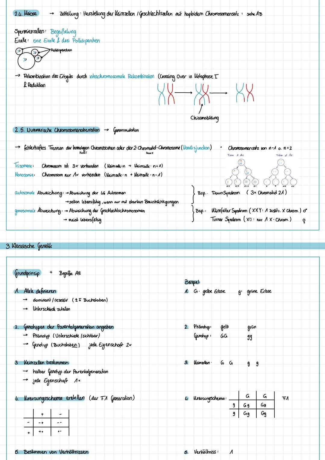 # Klausur - Biologie
## Thema: Genetik
1. Molelwargenetik og
2. Zytogenetik
3. Klassische Genetik
4. Humangenetik
5. Gentechnik
F1.3 Repl