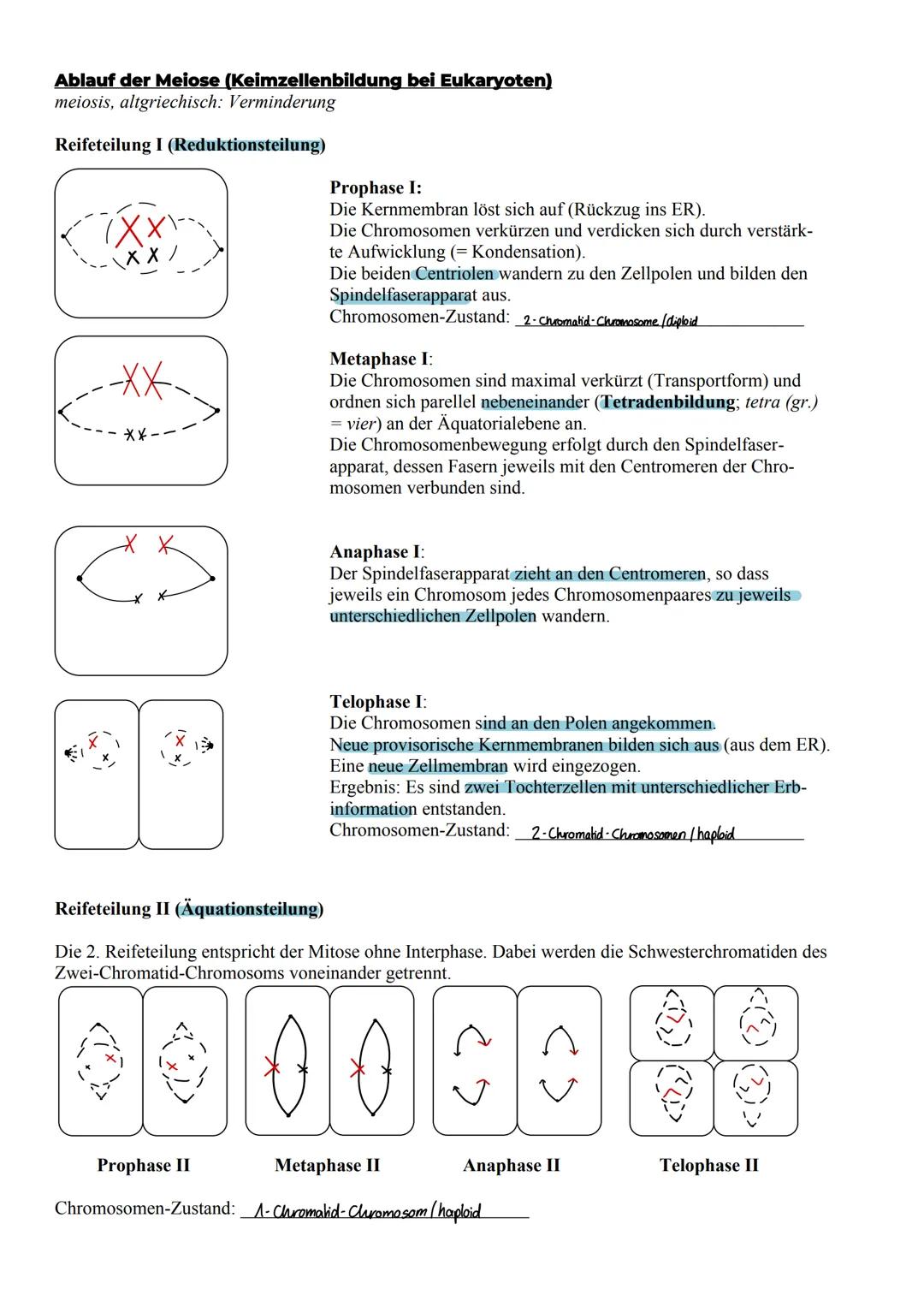 # Klausur - Biologie
## Thema: Genetik
1. Molelwargenetik og
2. Zytogenetik
3. Klassische Genetik
4. Humangenetik
5. Gentechnik
F1.3 Repl