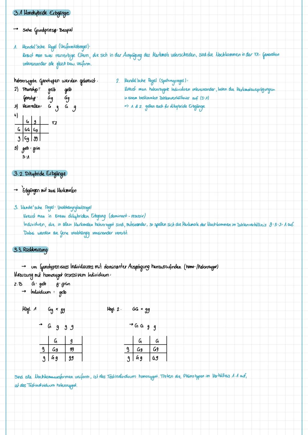 # Klausur - Biologie
## Thema: Genetik
1. Molelwargenetik og
2. Zytogenetik
3. Klassische Genetik
4. Humangenetik
5. Gentechnik
F1.3 Repl