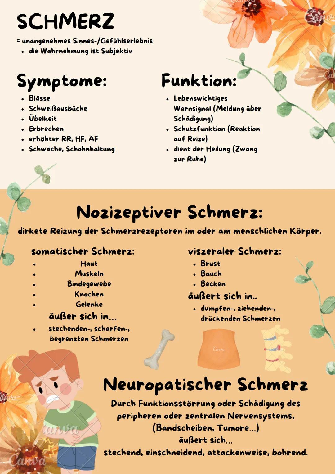 Sanva
Schmerz
Canva
Sanva
ana SCHMERZ
= unangenehmes Sinnes-/Gefühlserlebnis
die Wahrnehmung ist Subjektiv
Symptome:
Blässe
• Schweißausbüch