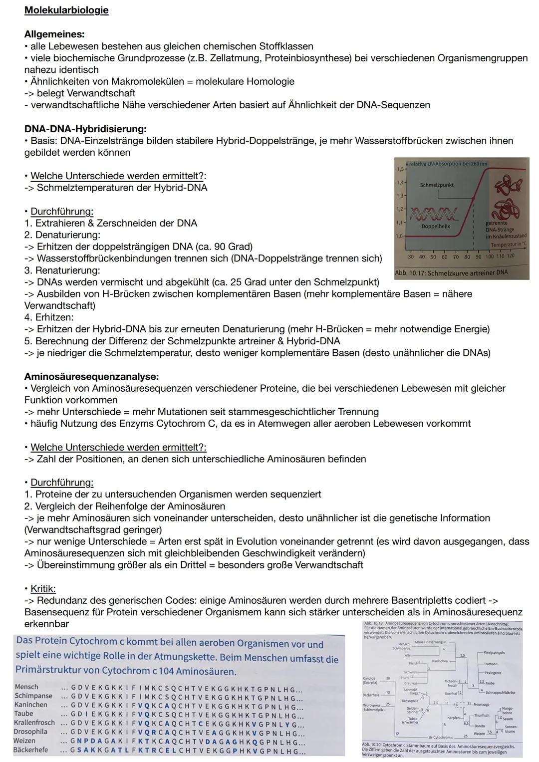 # Artbegriff
morphologischer Artbegriff:
* Gruppen von Individuen, die sich anhand äußerer Merkmale ähnlich sind
* -> bezieht sich auf