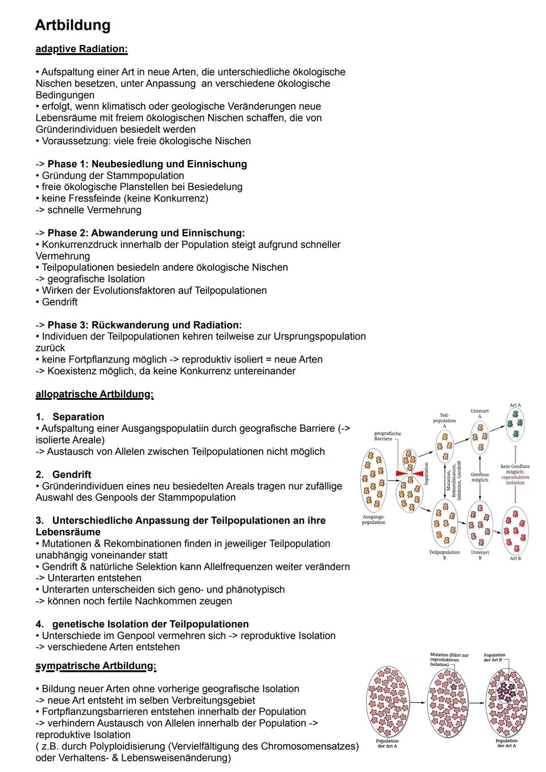 # Artbegriff
morphologischer Artbegriff:
* Gruppen von Individuen, die sich anhand äußerer Merkmale ähnlich sind
* -> bezieht sich auf