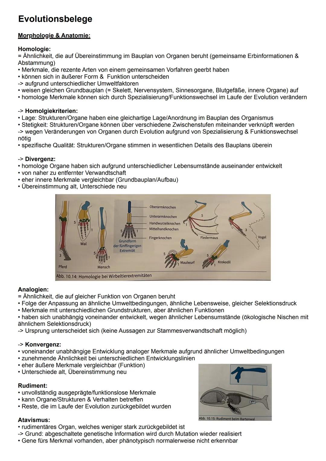 # Artbegriff
morphologischer Artbegriff:
* Gruppen von Individuen, die sich anhand äußerer Merkmale ähnlich sind
* -> bezieht sich auf