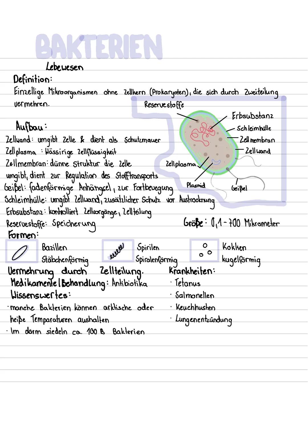 BAKTERIEN,VIRUS,INFEKTIONSKRANKHEITEN,IMMUNISIERUNG & IMMUNITÄT biologie