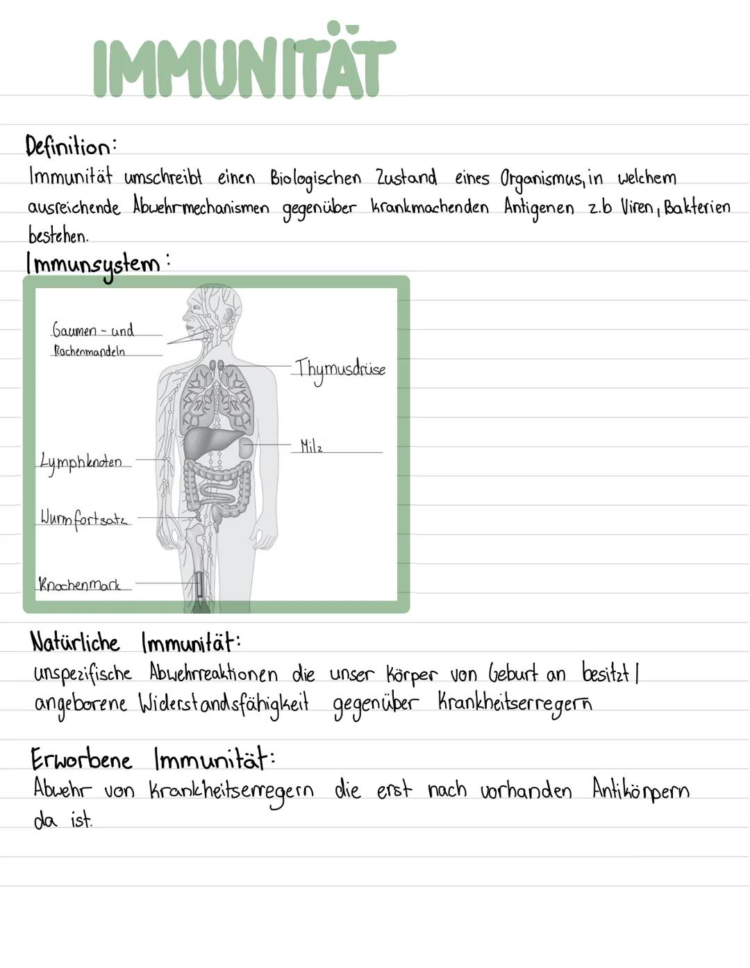 BAKTERIEN
Lebewesen
Definition:
Einzellige Mikroorganismen ohne Zellkern (Prokaryoten), die sich durch Zweiteilung.
vermehren.
Reservestoffe