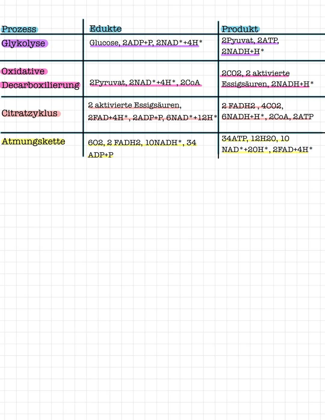# ZELLATMUNG energieamwandlung
$C_6H_{12}O_6 + 6O_2+6H_2O →6CO_2+12Н_2О + 38 АГР$
mitochrondrium als ort der zellatmung
2 ATP
Glucose
1
