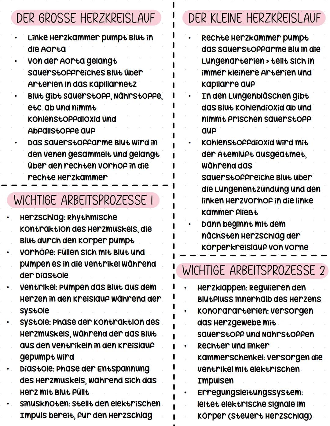 Herzkreislaufsystem
•
.
GRUNDLAGEN
Transportsystem des Körpers
Hauptaufgabe: versorgung der
Billionen zellen der verschiedenen
körpergewebe