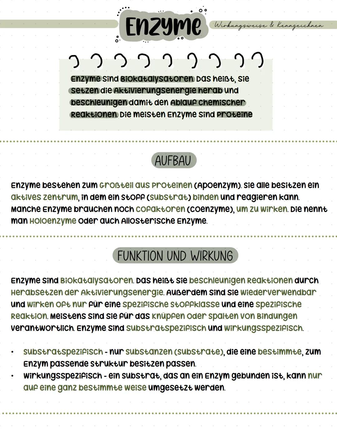 # Enzyme Enzyme Wirkungsweise & kennzeichnen
၁ ၁ ၁ ၁ ၁ ၁ ၁ ၁ ၇
Enzyme sind Biokatalysatoren. Das heißt, sie
setzen die Aktivierungsenergie