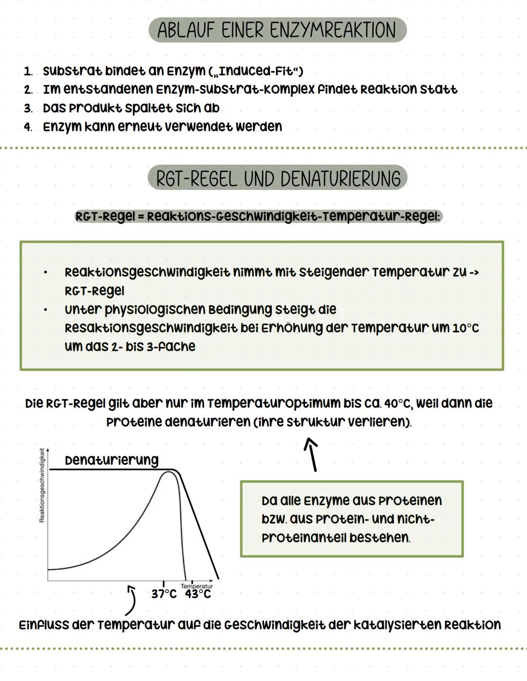 # Enzyme Enzyme Wirkungsweise & kennzeichnen
၁ ၁ ၁ ၁ ၁ ၁ ၁ ၁ ၇
Enzyme sind Biokatalysatoren. Das heißt, sie
setzen die Aktivierungsenergie