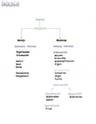 Know Ökolgie thumbnail