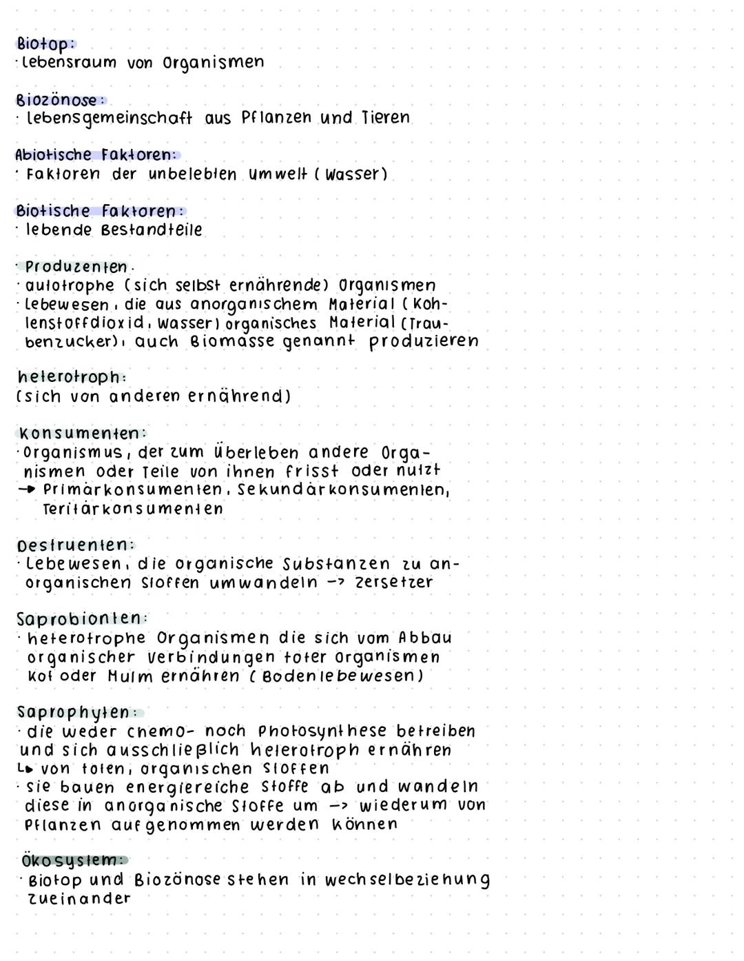 # ÖKOLOGIE
Biotop
abiotische Faktoren
* Regenwasser
* Grundwasser
* Humus
* Sand
* Sleine
* Sonnenlicht
* Temperatur
Bio