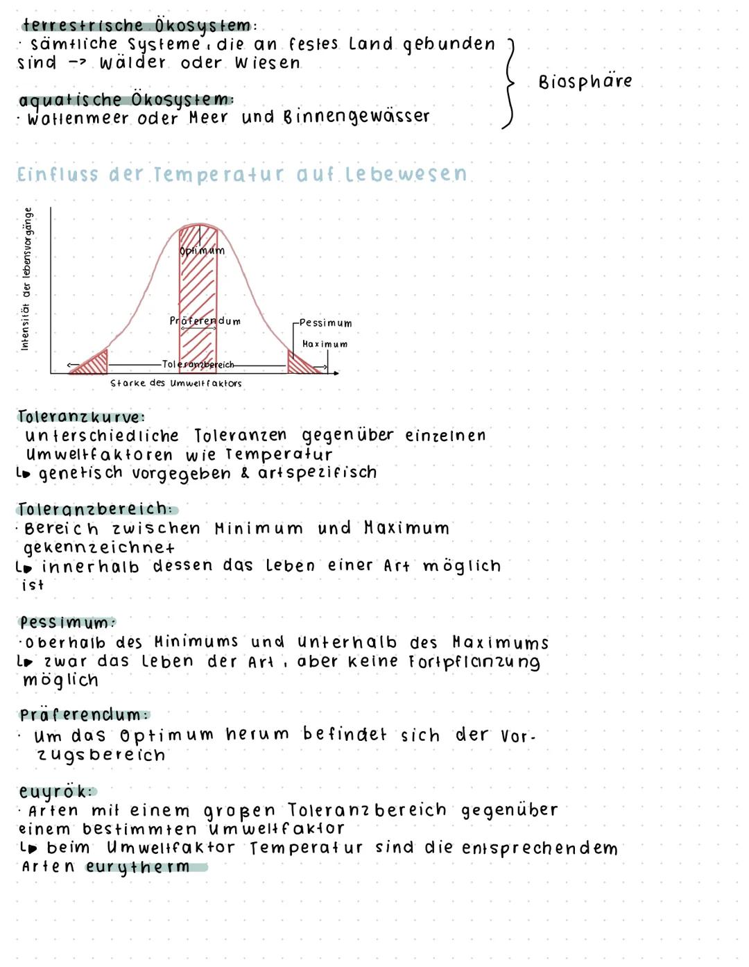 # ÖKOLOGIE
Biotop
abiotische Faktoren
* Regenwasser
* Grundwasser
* Humus
* Sand
* Sleine
* Sonnenlicht
* Temperatur
Bio
