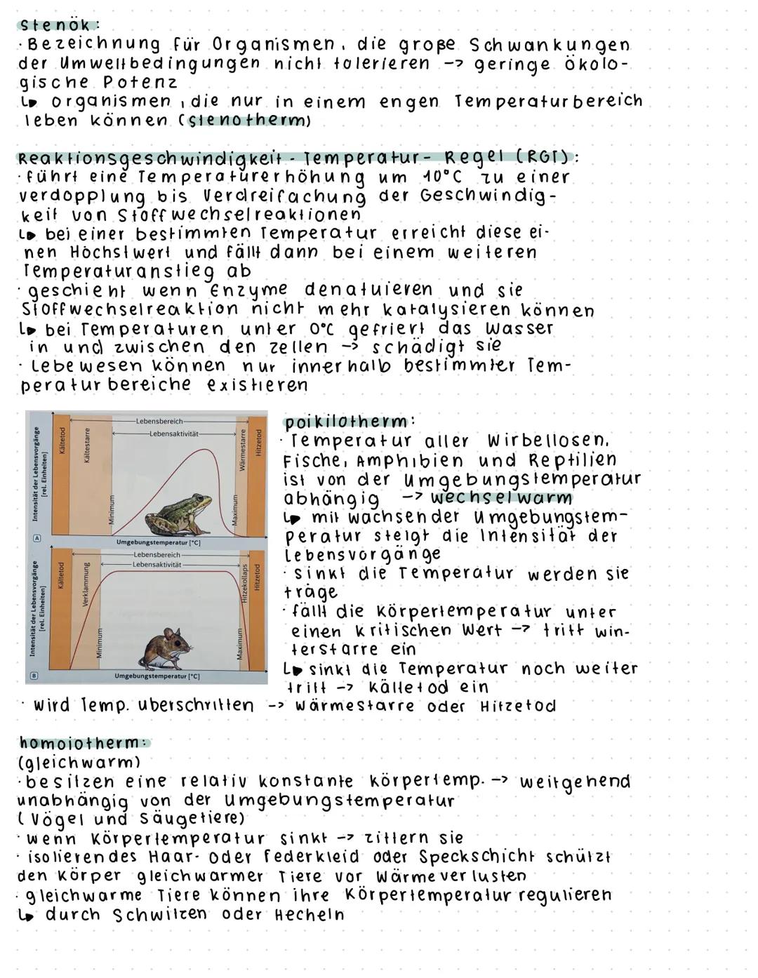 # ÖKOLOGIE
Biotop
abiotische Faktoren
* Regenwasser
* Grundwasser
* Humus
* Sand
* Sleine
* Sonnenlicht
* Temperatur
Bio