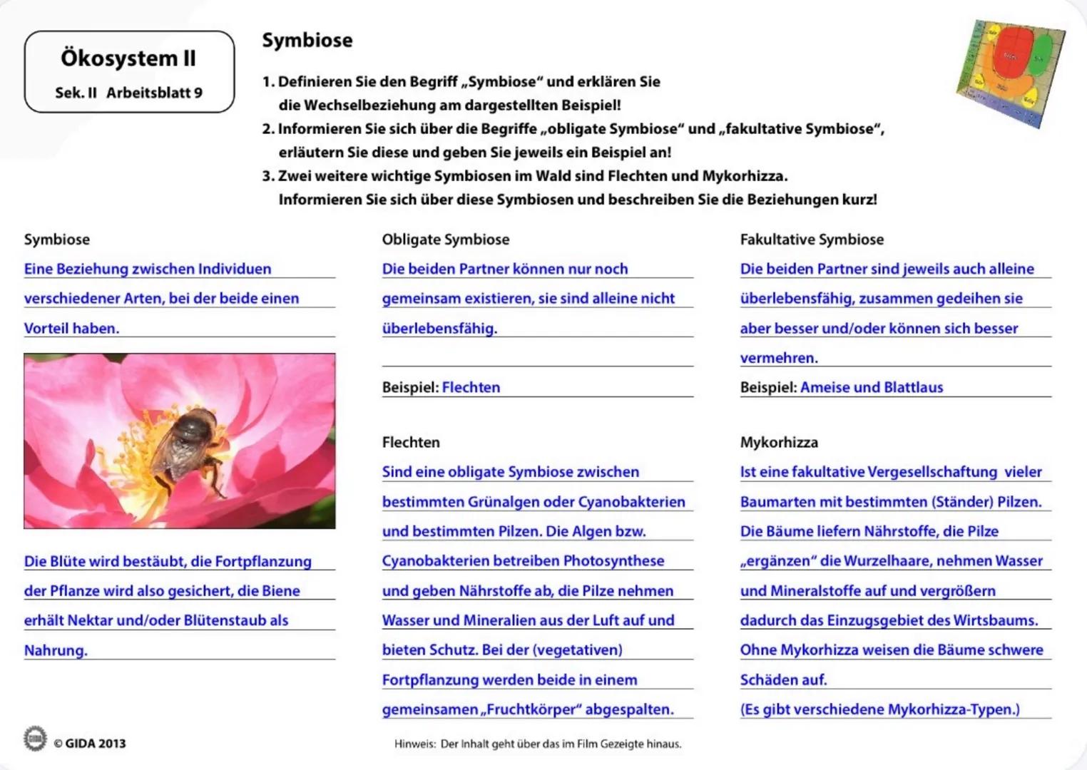 fook
20
NEW
7
Birche
Tada
31425
Erla
Kafar
Ökosystem II
Arbeitsblätter
(Lehrerversion)
GIDA GIDA 2013 Ökosystem II
Sek. II Arbeitsblatt 1
Ök