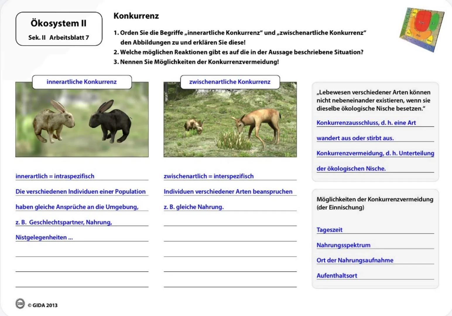 fook
20
NEW
7
Birche
Tada
31425
Erla
Kafar
Ökosystem II
Arbeitsblätter
(Lehrerversion)
GIDA GIDA 2013 Ökosystem II
Sek. II Arbeitsblatt 1
Ök