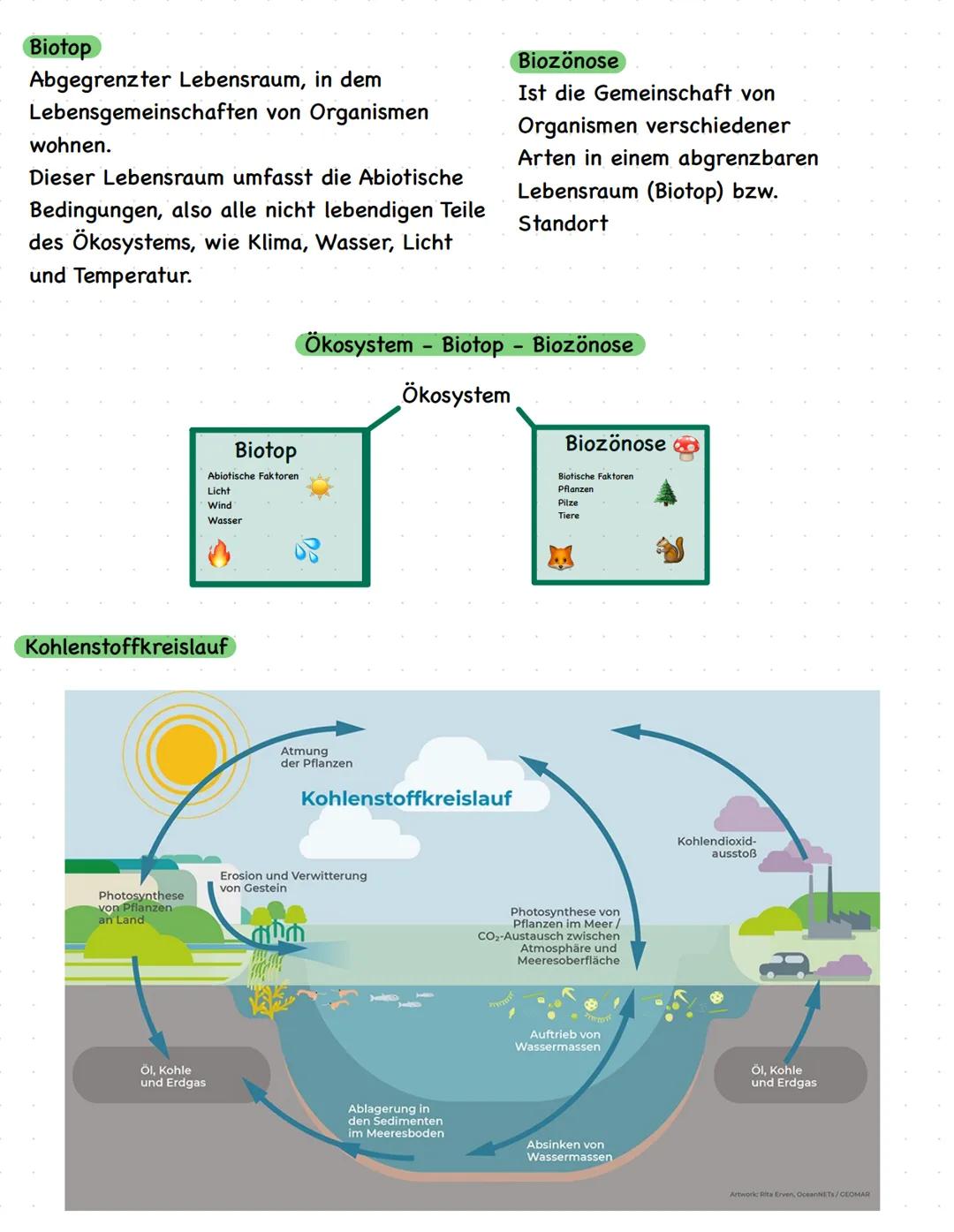 # Biologie LK Q2
Abiotische Faktoren und deren Einfluss
Alle Einflüsse der unbelebten Welt
Lebewesen, die nicht direkt beteiligt sind wie