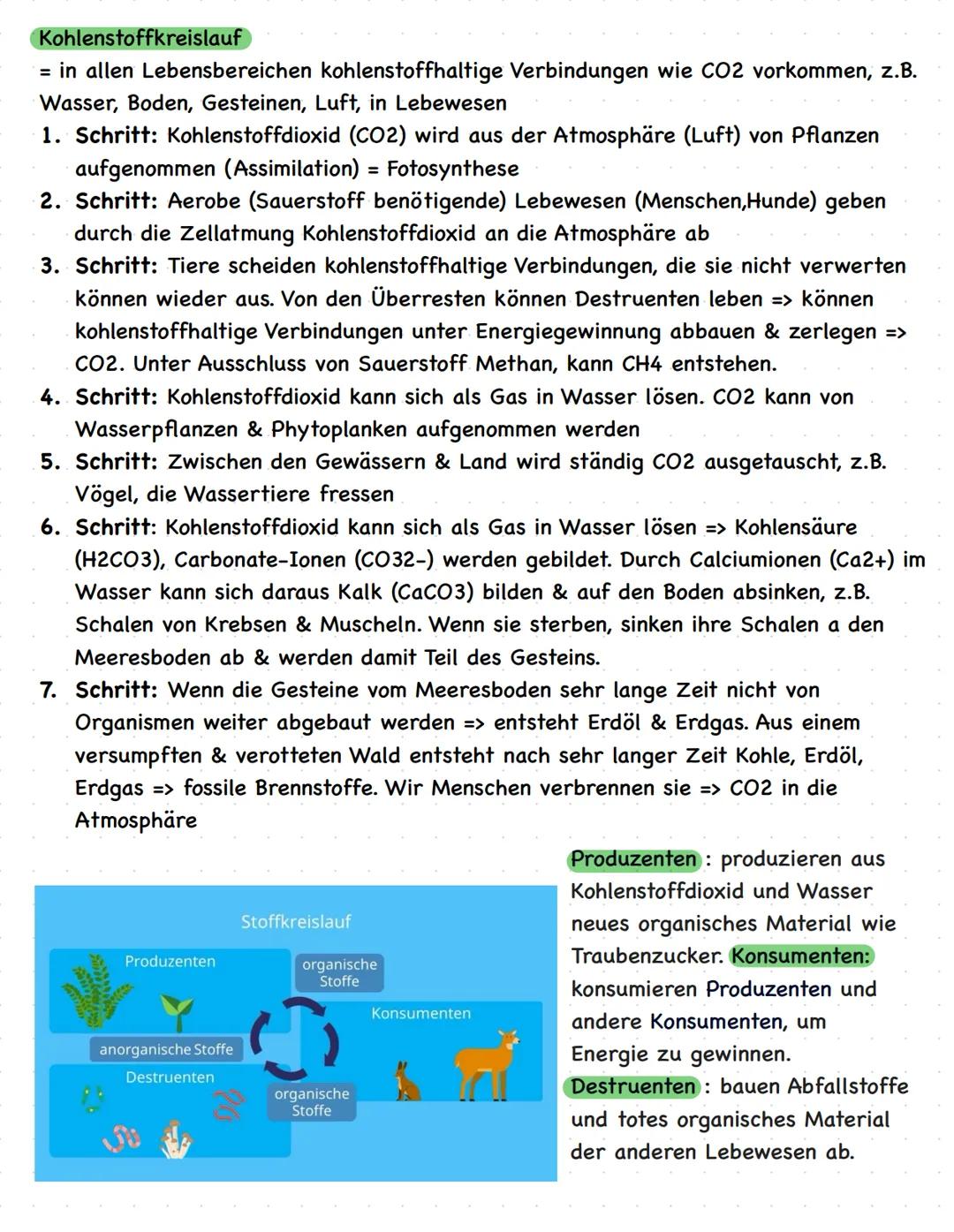 # Biologie LK Q2
Abiotische Faktoren und deren Einfluss
Alle Einflüsse der unbelebten Welt
Lebewesen, die nicht direkt beteiligt sind wie
