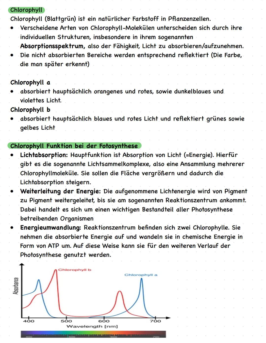 # Biologie LK Q2
Abiotische Faktoren und deren Einfluss
Alle Einflüsse der unbelebten Welt
Lebewesen, die nicht direkt beteiligt sind wie