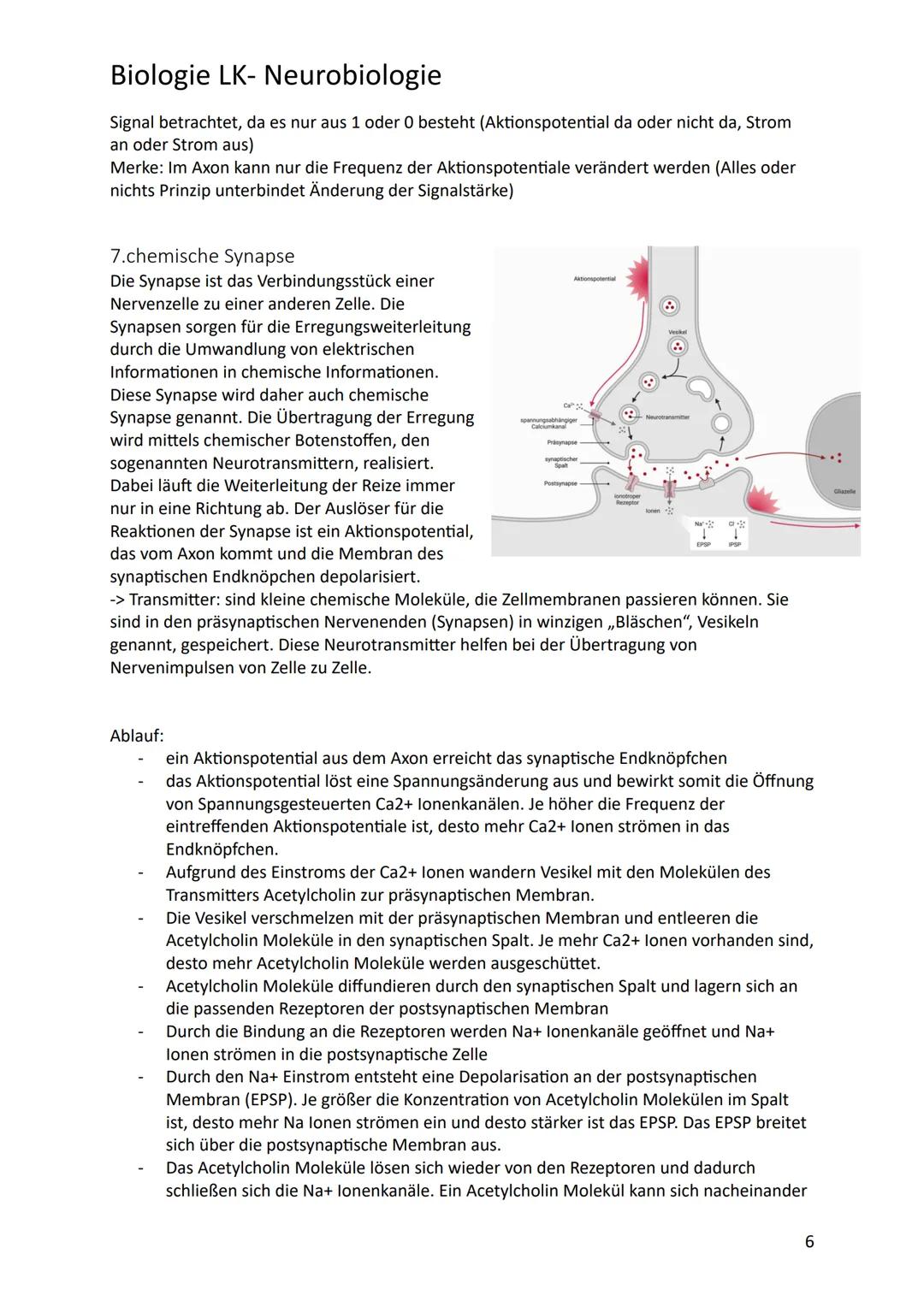 # Biologie LK- Neurobiologie
1.Bau des Neurons/ Nervenzelle
Sinneszellen können aus der Umgebung auftreffende Reize i elektrische Erregung