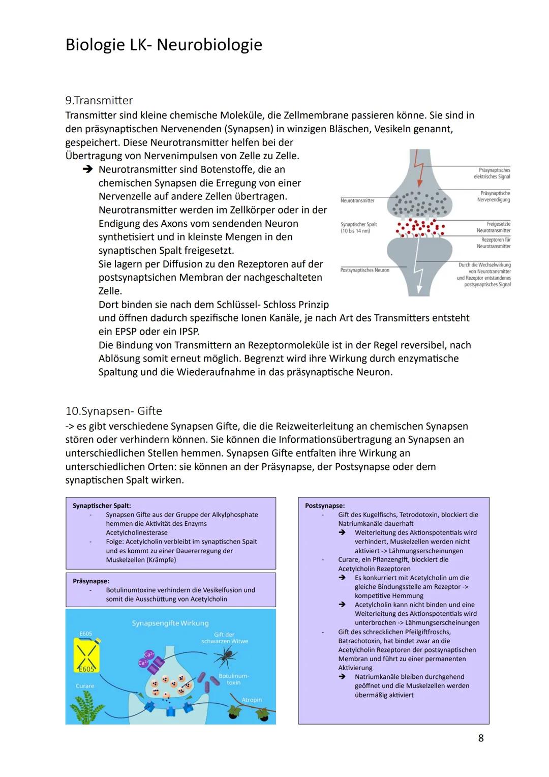# Biologie LK- Neurobiologie
1.Bau des Neurons/ Nervenzelle
Sinneszellen können aus der Umgebung auftreffende Reize i elektrische Erregung