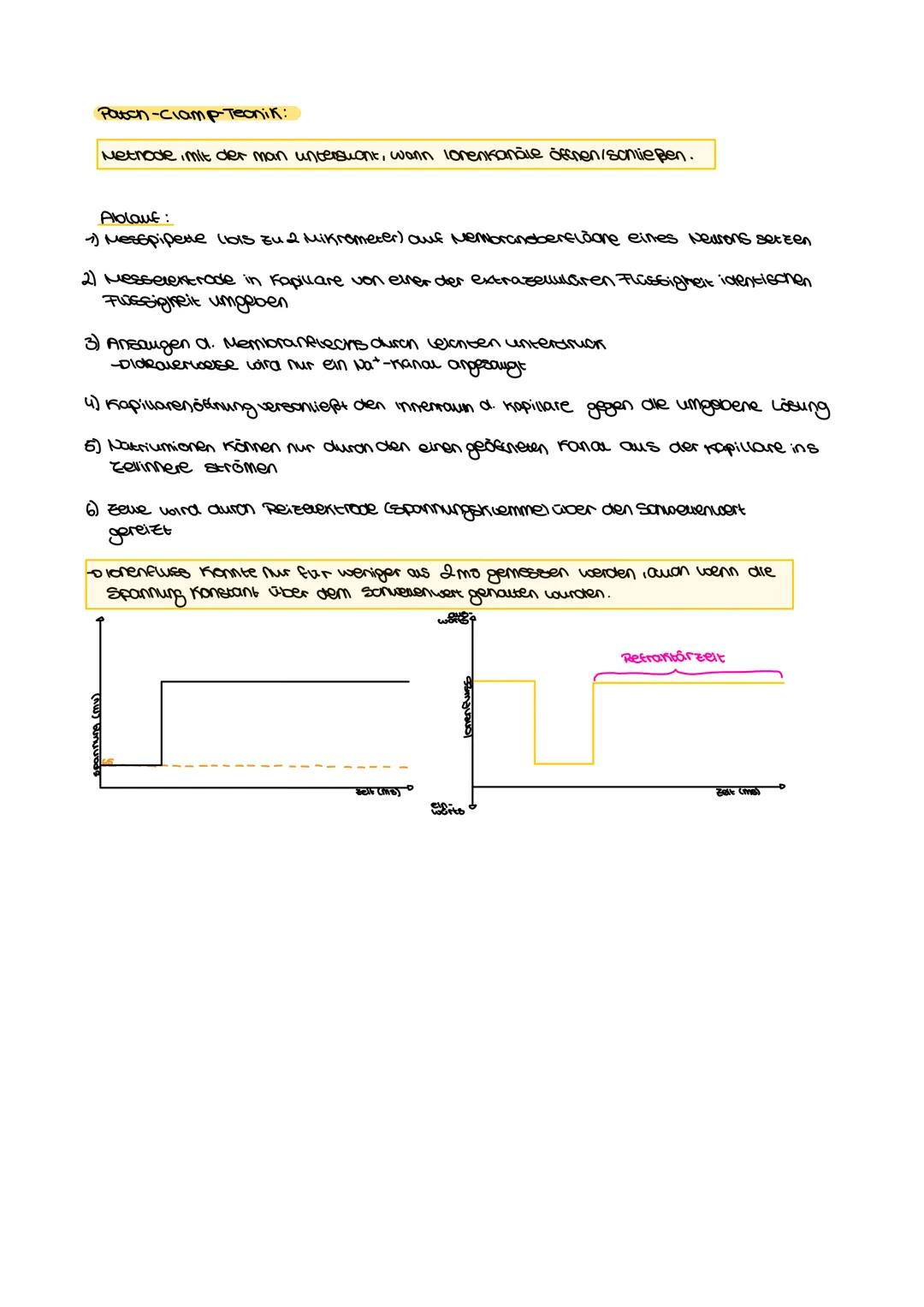 Bio-Aloitur
Neurologie Inhaltsfeld 4: Neurobiologie
SuS
im Grundkurs (KLP S. 32-34)
⚫ beschreiben Aufbau und Funktion des Neurons (UF1),
• e