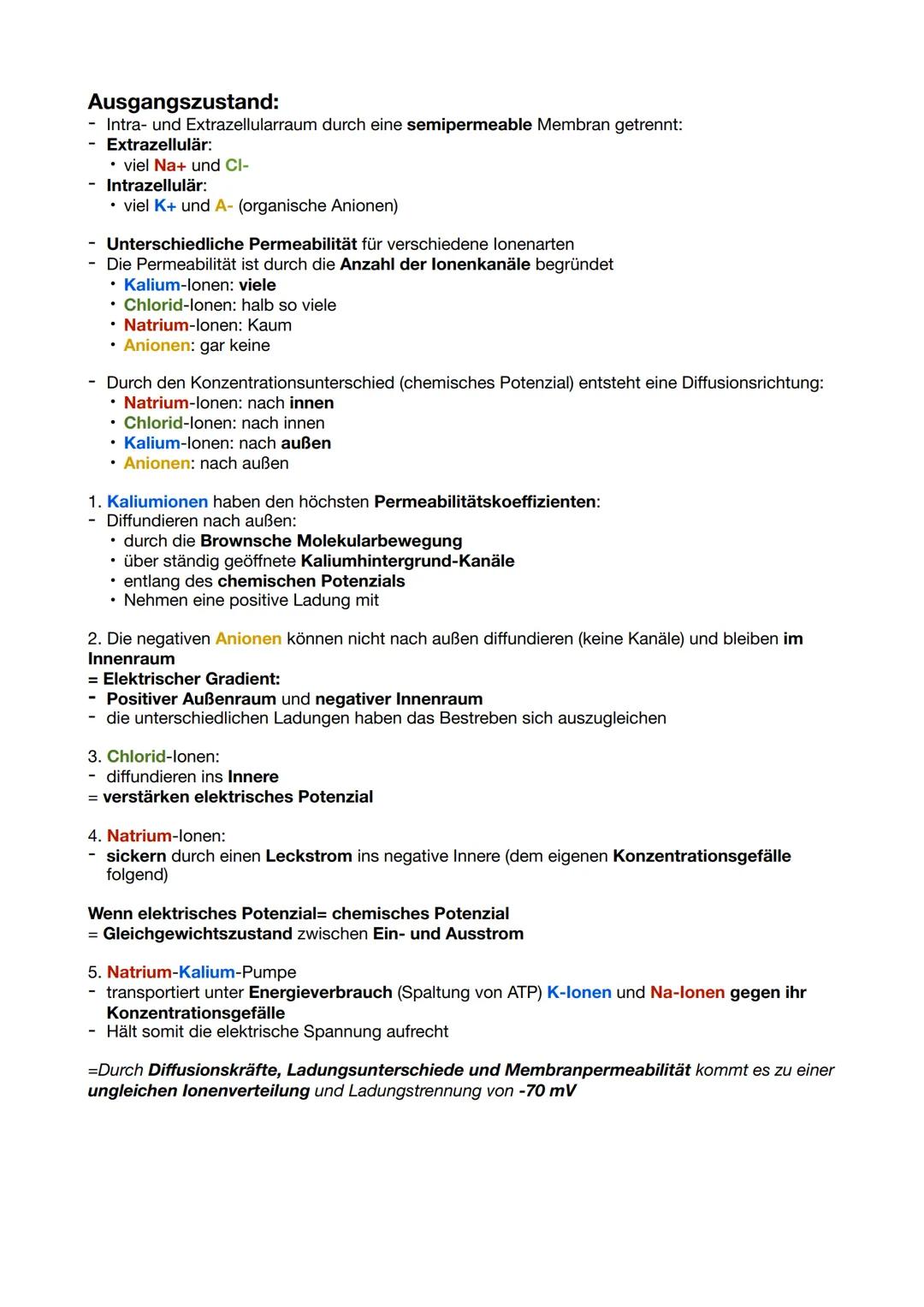# Bau und Funktion von
# Nervenzellen
### Dendriten
- Empfangen& Weiterleiten von elektrischen Signalen
- Erregung benachbarter Nervenzelle