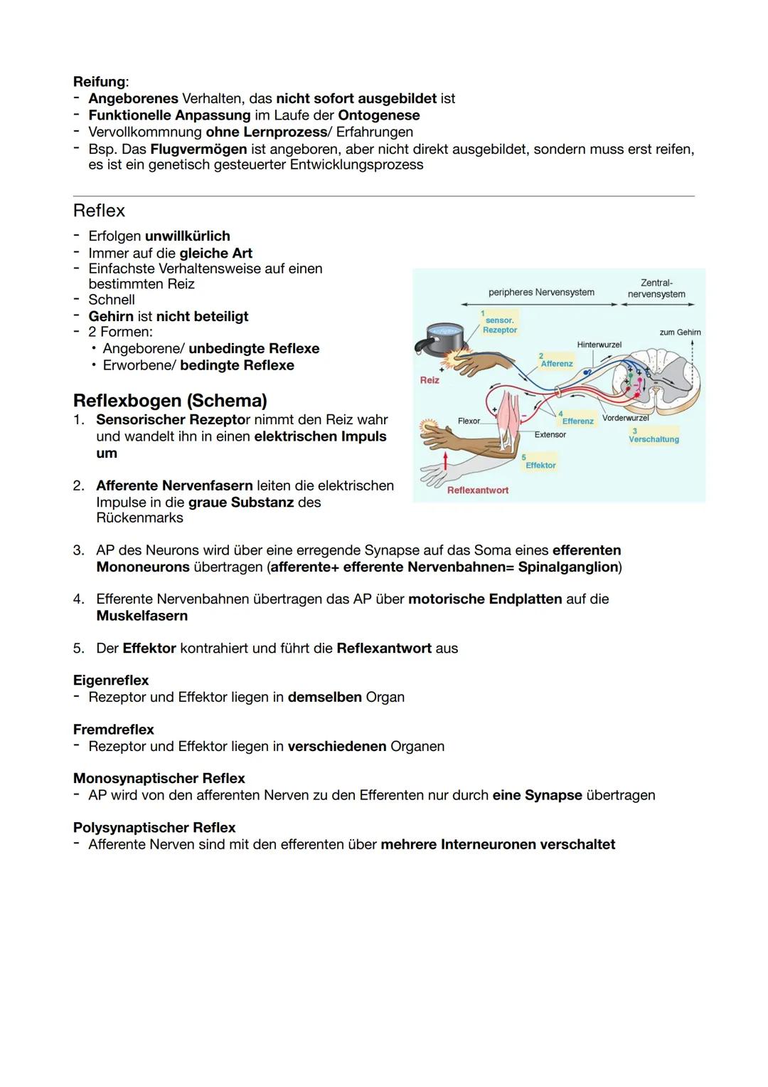 # Verhaltensbiologie
Allgemein
Verhalten
- Interaktion und Reaktion eines Tieres mit/auf seine Umwelt
- Unvermeidlich: man kann sich nicht