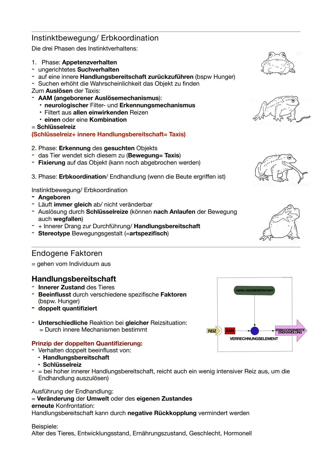 # Verhaltensbiologie
Allgemein
Verhalten
- Interaktion und Reaktion eines Tieres mit/auf seine Umwelt
- Unvermeidlich: man kann sich nicht