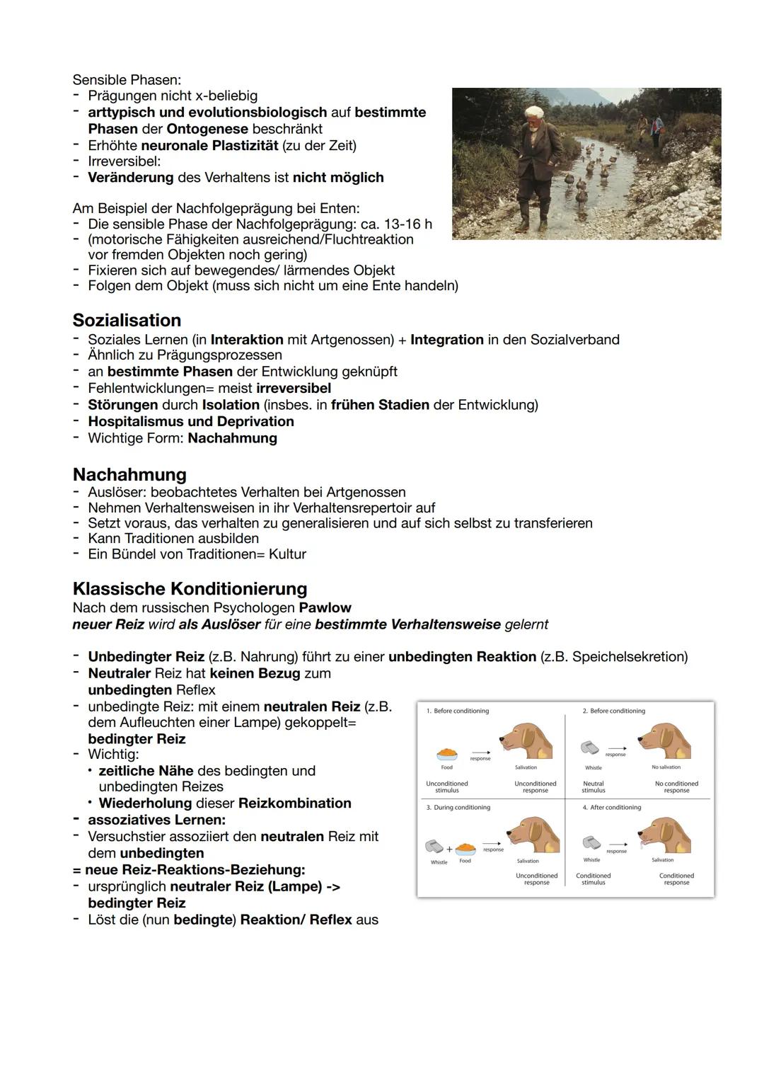 # Verhaltensbiologie
Allgemein
Verhalten
- Interaktion und Reaktion eines Tieres mit/auf seine Umwelt
- Unvermeidlich: man kann sich nicht