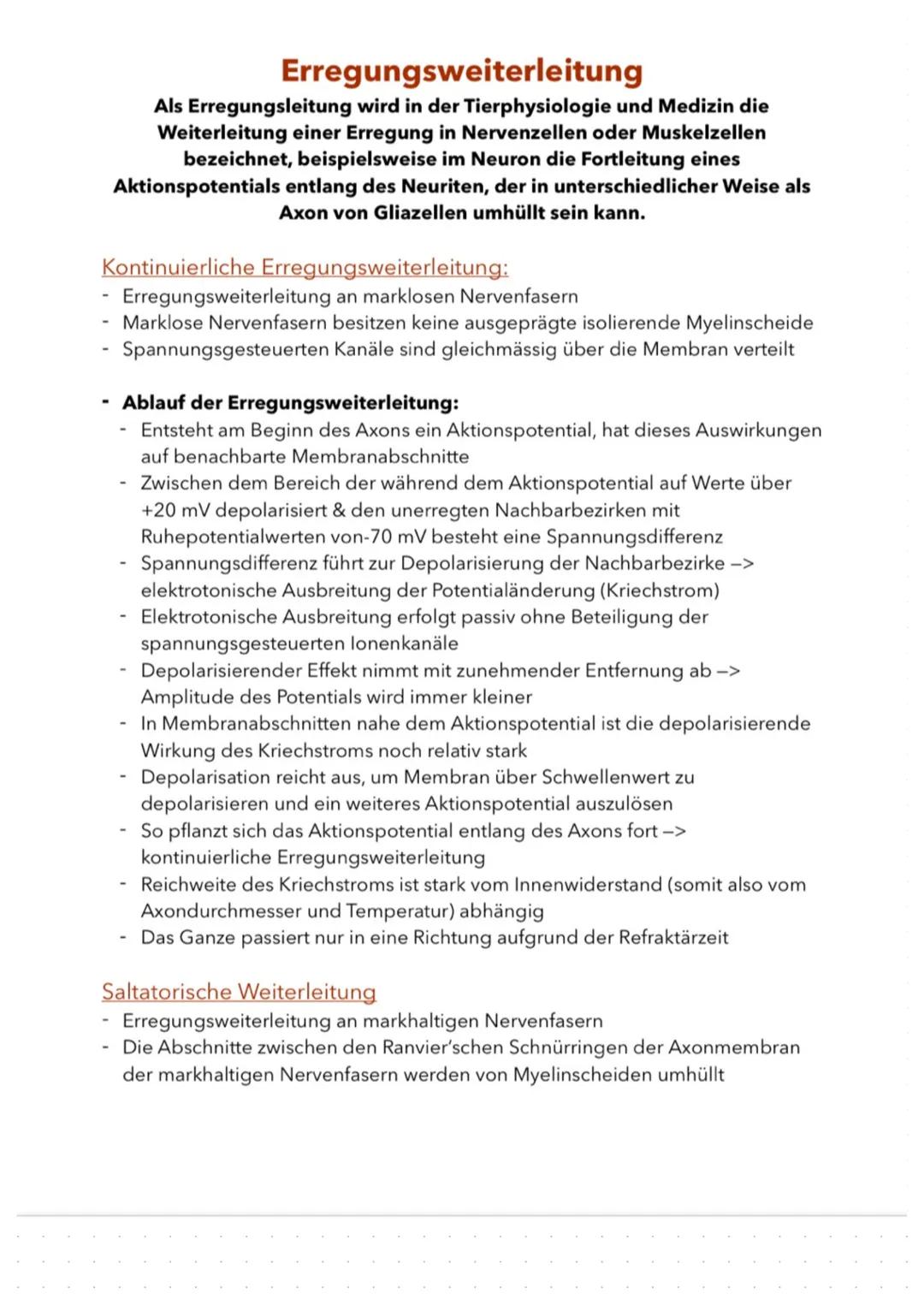 Aufbau & Funktion von Neuronen
(Nervenzellen)
Nervenzellen sind die informationsübertragenden und -verarbeitenden
Elemente eines Nervensyste