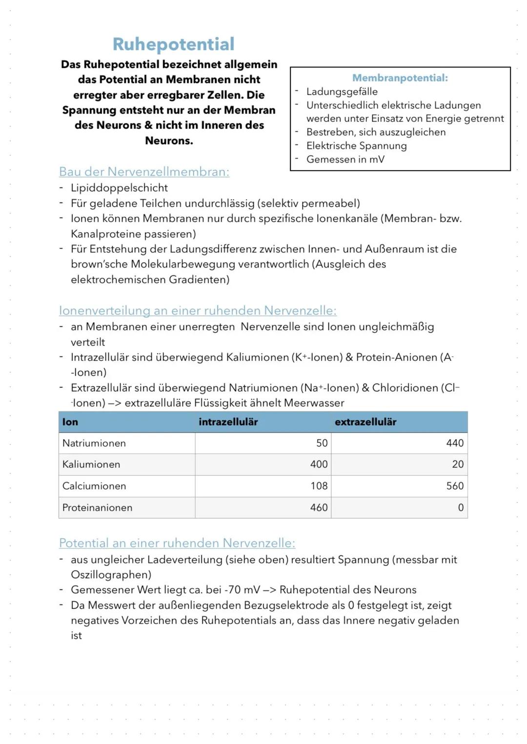 Aufbau & Funktion von Neuronen
(Nervenzellen)
Nervenzellen sind die informationsübertragenden und -verarbeitenden
Elemente eines Nervensyste