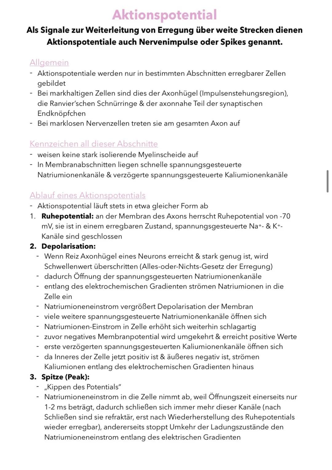 Aufbau & Funktion von Neuronen
(Nervenzellen)
Nervenzellen sind die informationsübertragenden und -verarbeitenden
Elemente eines Nervensyste