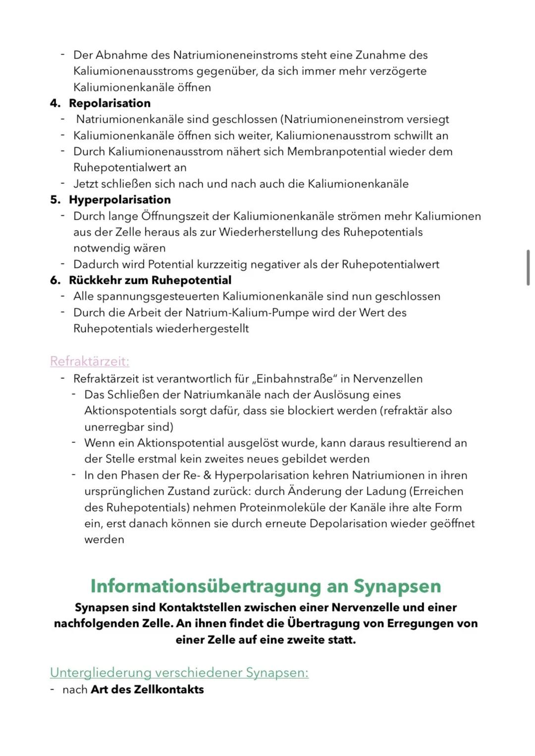 Aufbau & Funktion von Neuronen
(Nervenzellen)
Nervenzellen sind die informationsübertragenden und -verarbeitenden
Elemente eines Nervensyste
