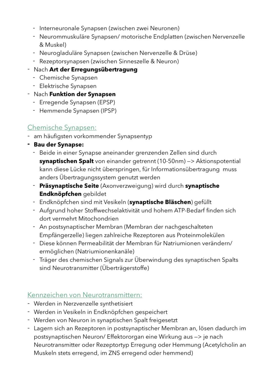 Aufbau & Funktion von Neuronen
(Nervenzellen)
Nervenzellen sind die informationsübertragenden und -verarbeitenden
Elemente eines Nervensyste