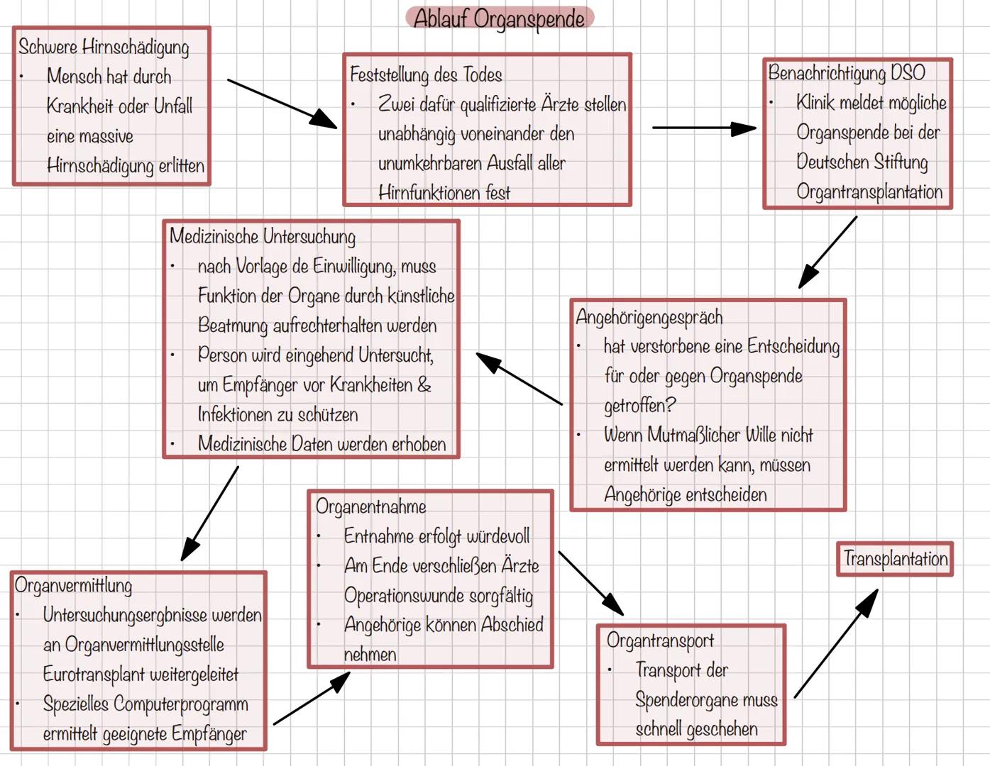 Recht Rechtskunde
Was ist das Grundgesetz?
regelt die Gesetze der Bevölkerungder
Bundesrepublik Deutschland
wichtige Regeln für den Staat //