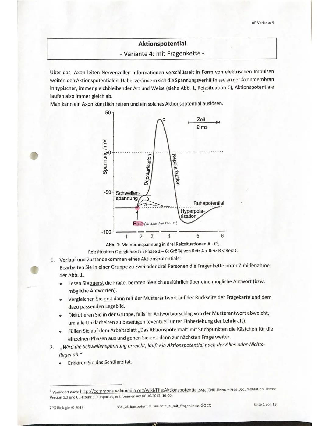 # NEUROPHYSIOLOGIE
9
- REIZ: Eine aus der Umwelt eingehende Information, die von einem bestimmten Rezeptortyp
empfangen wird
- REIZBARKEIT
