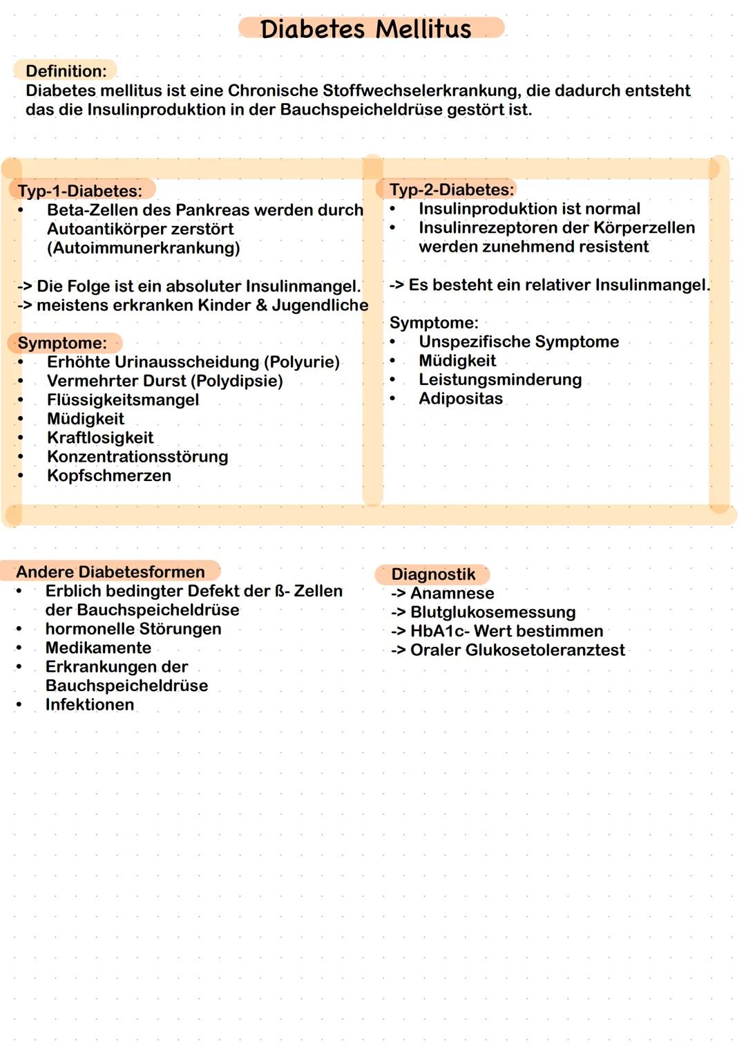 Diabetes Mellitus Typ 1 & 2 (Anatomie Pankreas & Antidiabetika)