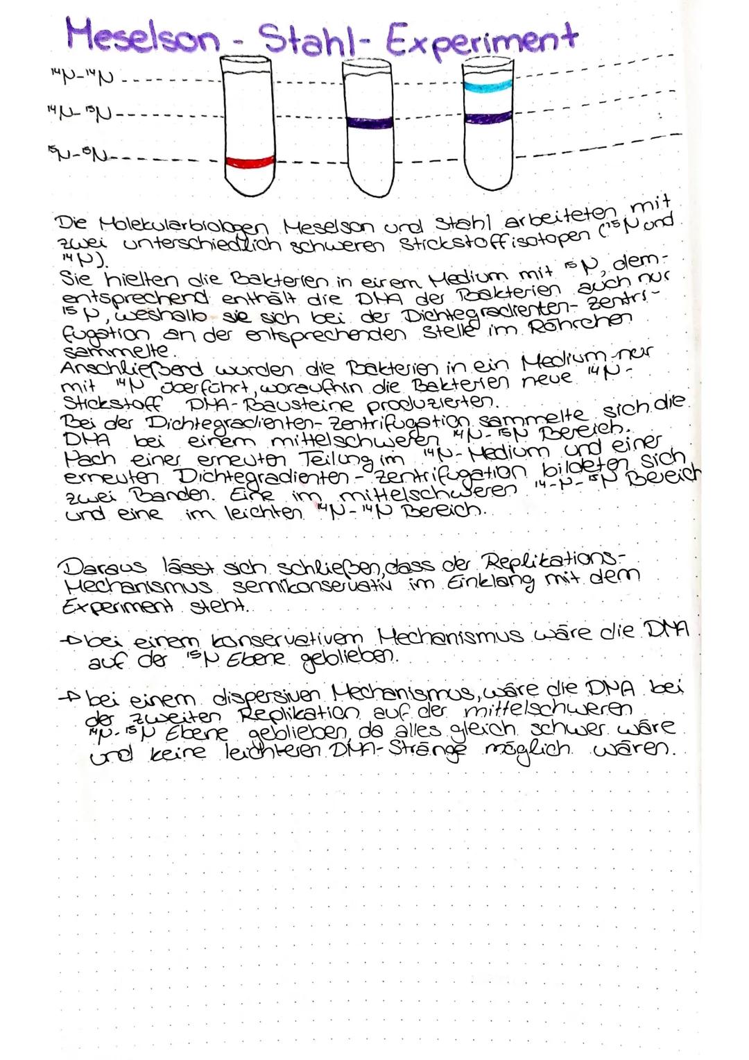 DNA-Replikation.
Hypothesen zum Mechanismus der DNA - Replikation.
konservativ
ᎬᏗ
F2
Eine Tochter DNA wird identisch der Ausgangs- DNA
erste