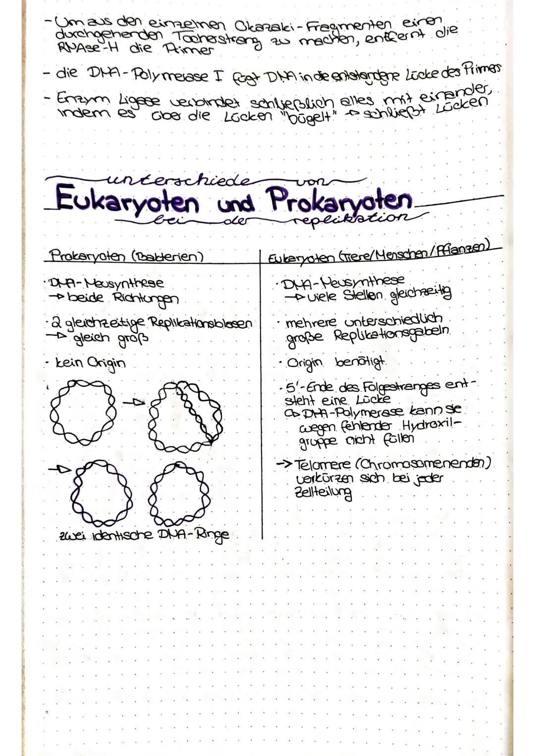 DNA-Replikation.
Hypothesen zum Mechanismus der DNA - Replikation.
konservativ
ᎬᏗ
F2
Eine Tochter DNA wird identisch der Ausgangs- DNA
erste