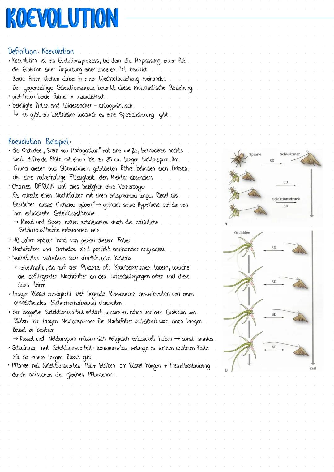# KOEVOLUTION
Definition: Koevolution
* Koevolution ist ein Evolutionsprozess, bei dem die Anpassung einer Art
die Evolution einer Anpass