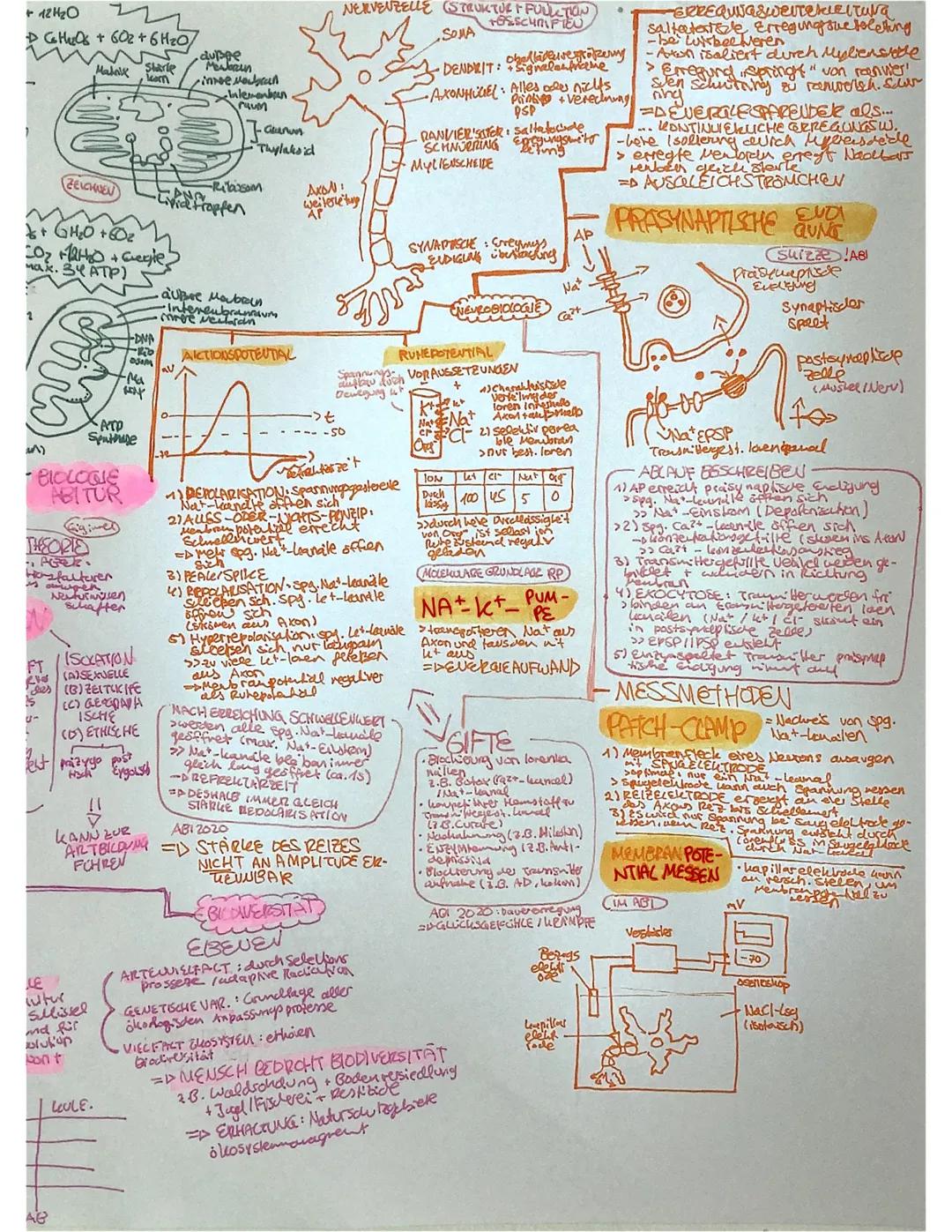 DE ABITOR PROPUNG
AFT-produktion von Wissen (PSA) UM = Moylide ABIAURQABEN
- Maleel bestebing
AFI-Anyse von Matralen
-Anwendung von schaut F