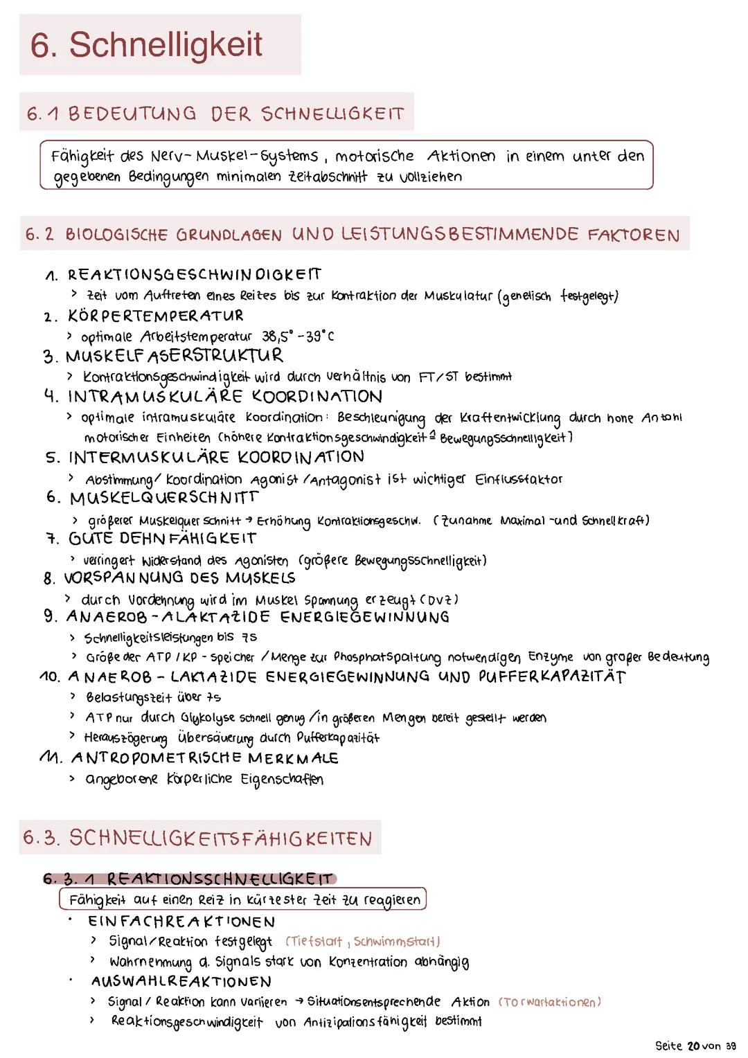 Schnelligkeit Sport LK Zusammenfassung