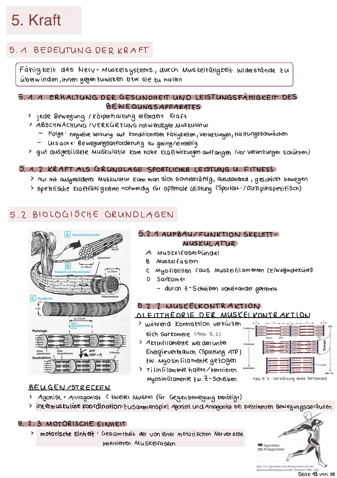 Kraft Zusammenfassung Sport LK