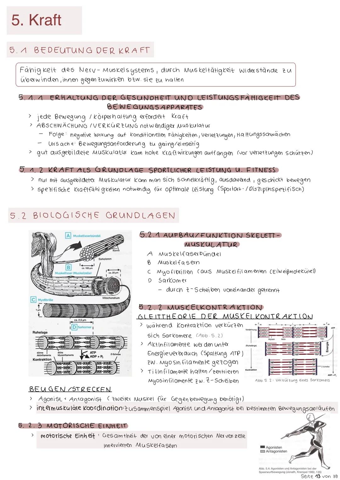 5. Kraft
5.1 BEDEUTUNG DER KRAFT
Fähigkeit des Nerv - Muskelsystems, durch Muskeltätigkeit Widerstände zu
überwinden, innen gegen zuwirken b