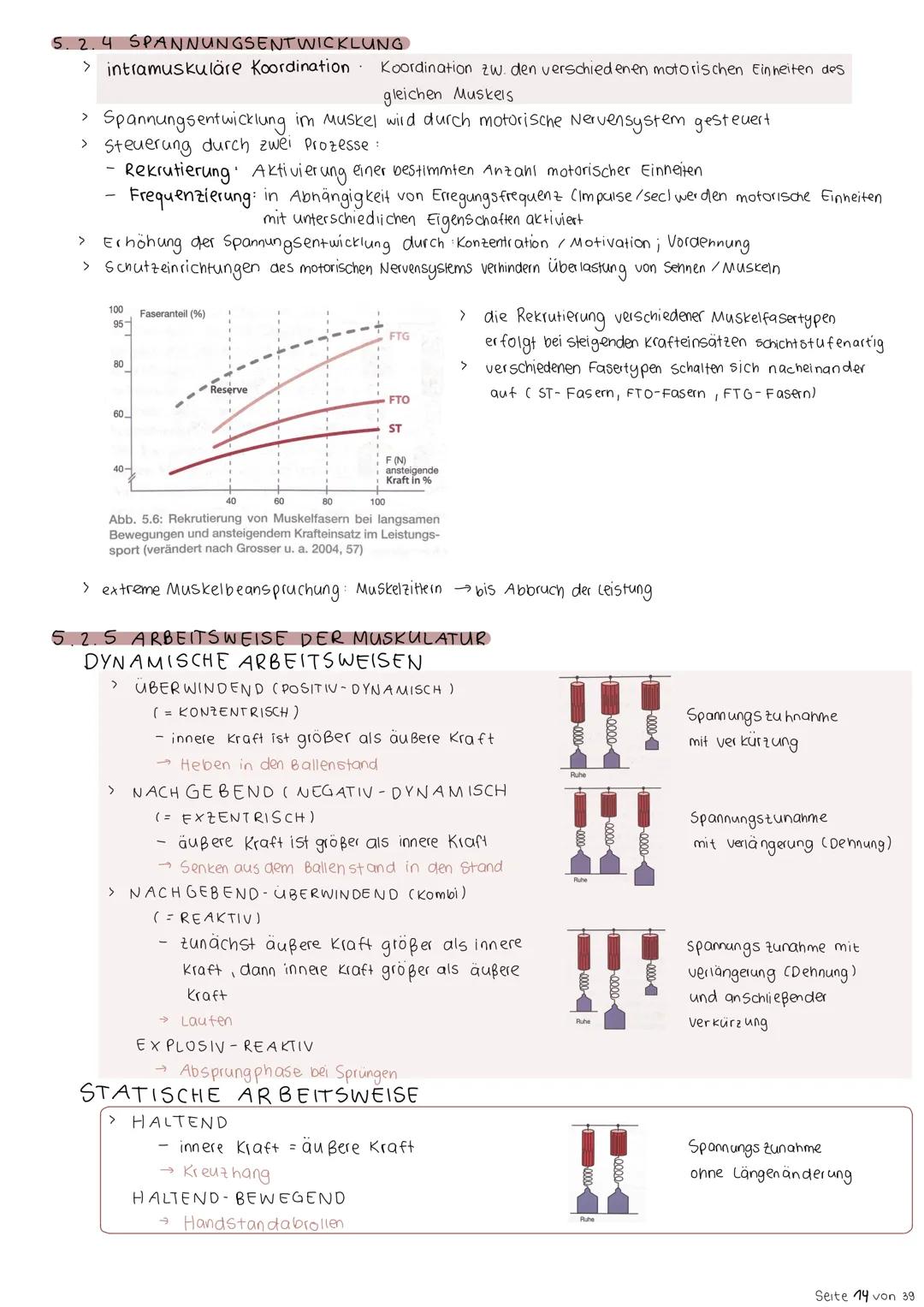 5. Kraft
5.1 BEDEUTUNG DER KRAFT
Fähigkeit des Nerv - Muskelsystems, durch Muskeltätigkeit Widerstände zu
überwinden, innen gegen zuwirken b