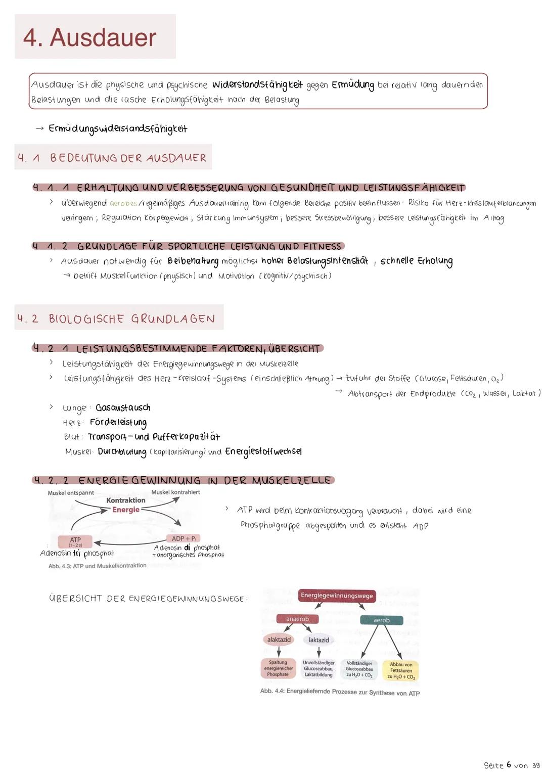 Zusammenfassung Ausdauer Sport LK Theorie
