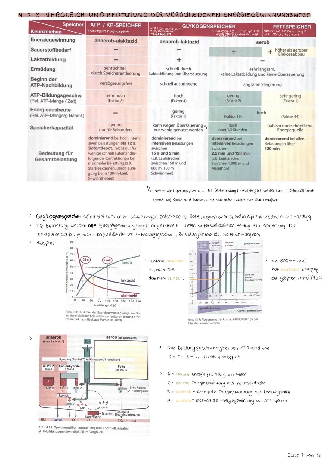 # 4. Ausdauer
Ausdauer ist die physische und psychische widerstandsfähigkeit gegen Ermüdung bei relativ lang dauernden
Belastungen und die