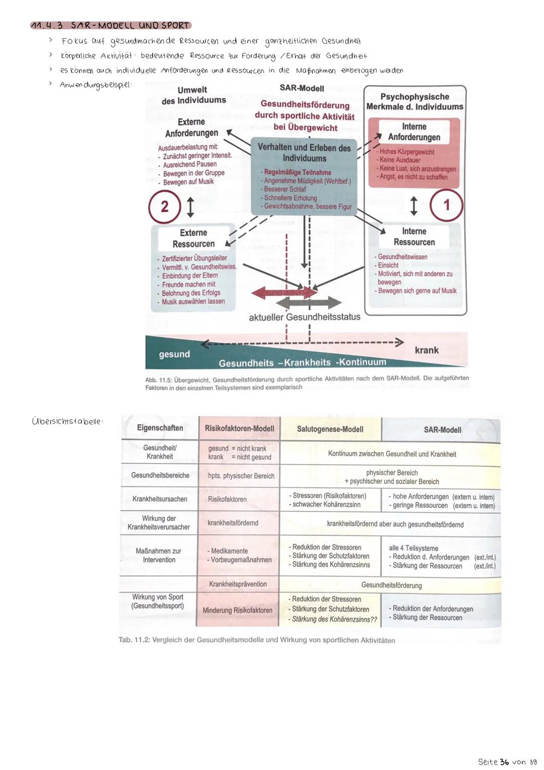 10. Zielbereiche des Sports
10.1 ÜBERSICHT
Sportbereich
Leistungsniveau
Gesundheitssport
Gesundheit
Fitnesssport
fit Sein
Leistungssport
Höc