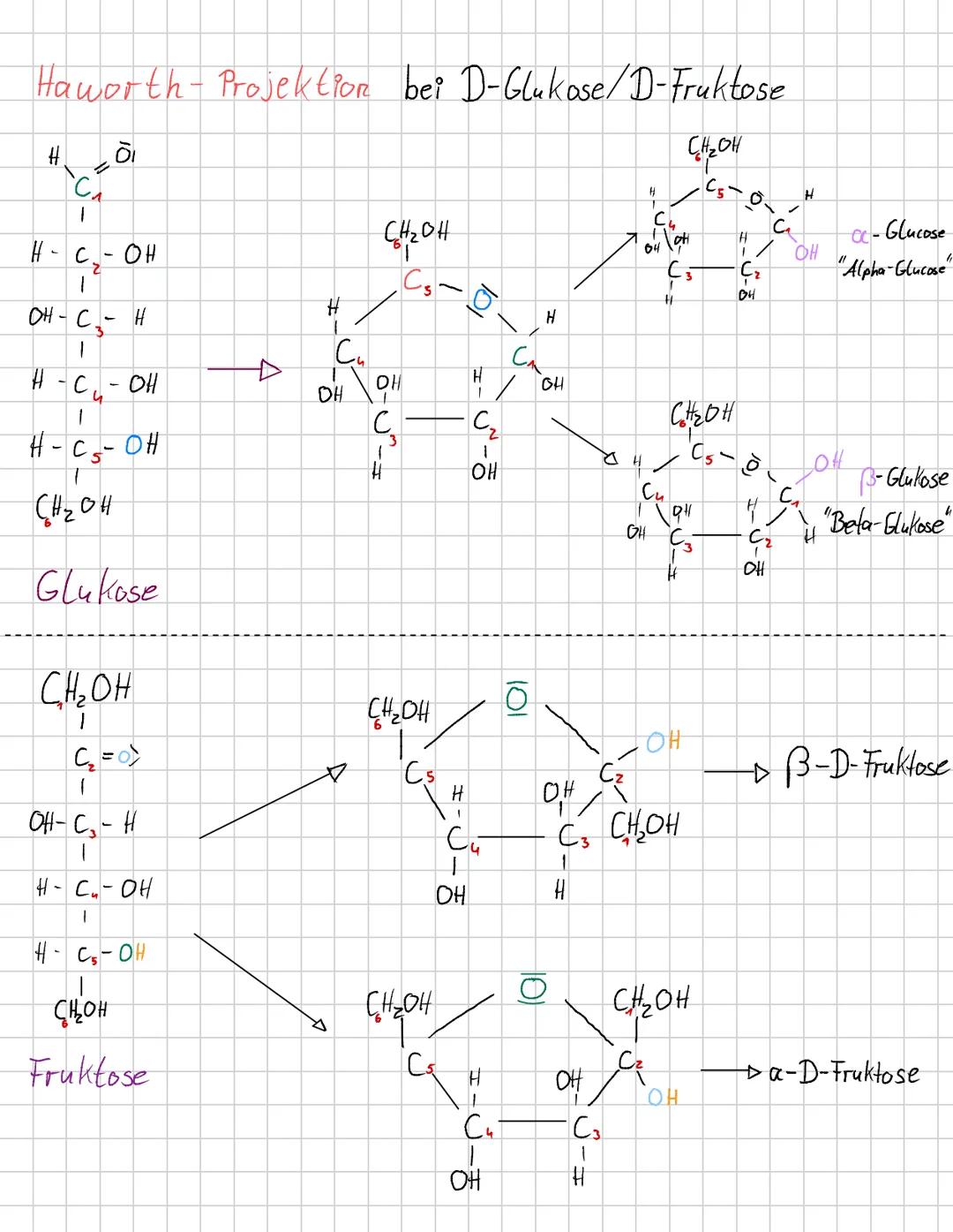 # Kohlenhydrate-Chemie
Kurzer Überblick:
L. Es gibt eine große Anzahl an Kohlehydraten (Zuckermolekühle).
Loz. B. Glukose, Fruktose, Lakt